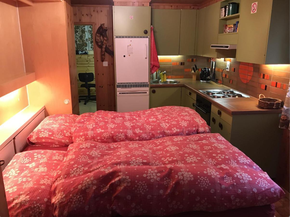 Ferienwohnung Im Chalet Boubou Wiler Dış mekan fotoğraf